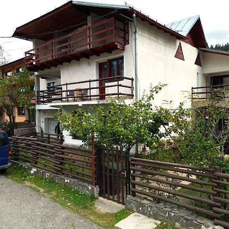 Vila Nik Buşteni Buitenkant foto