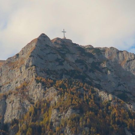 Vila Nik Buşteni Buitenkant foto