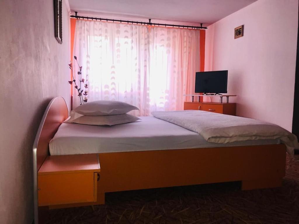 Vila Nik Buşteni Buitenkant foto