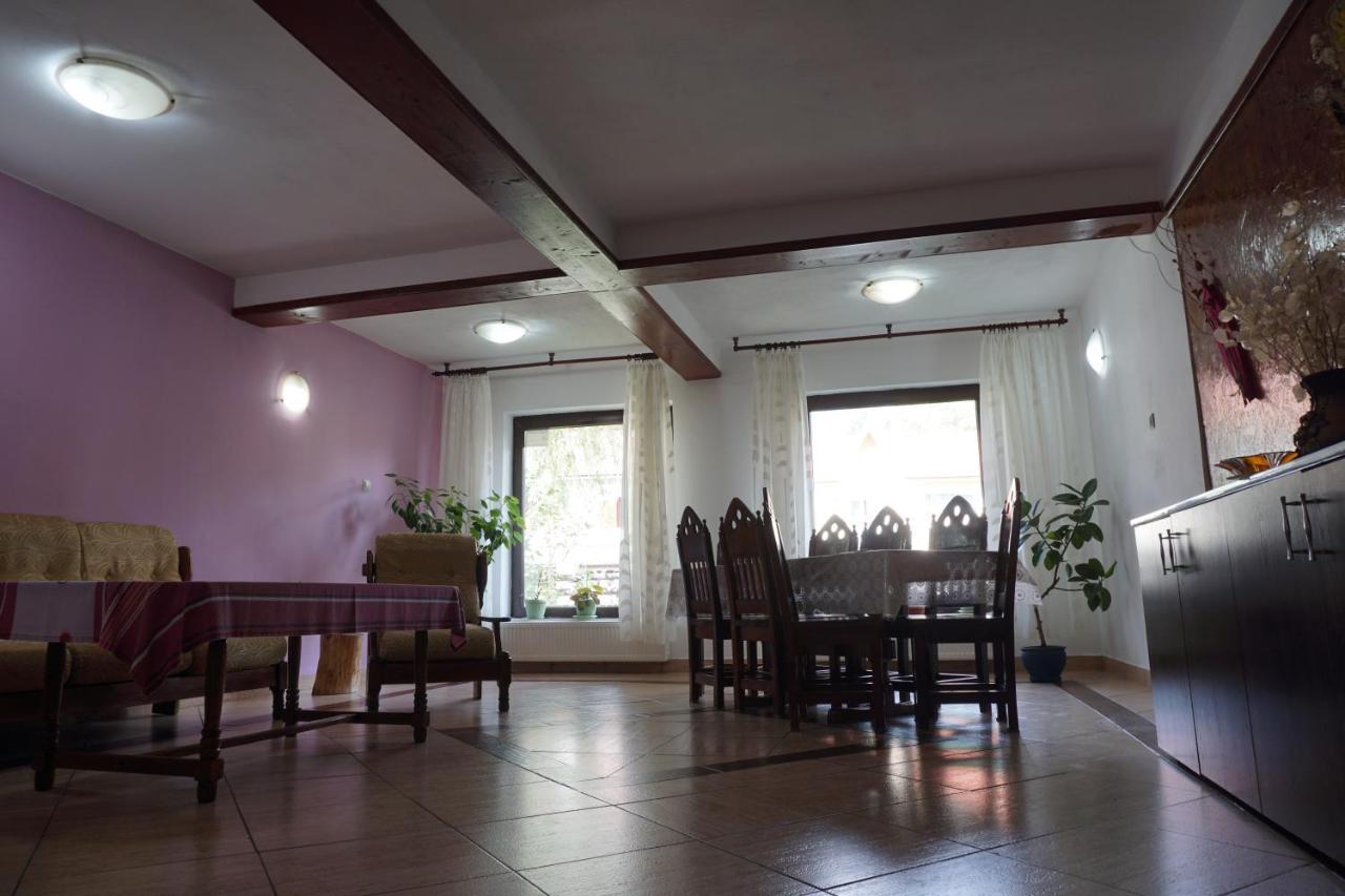 Vila Nik Buşteni Buitenkant foto