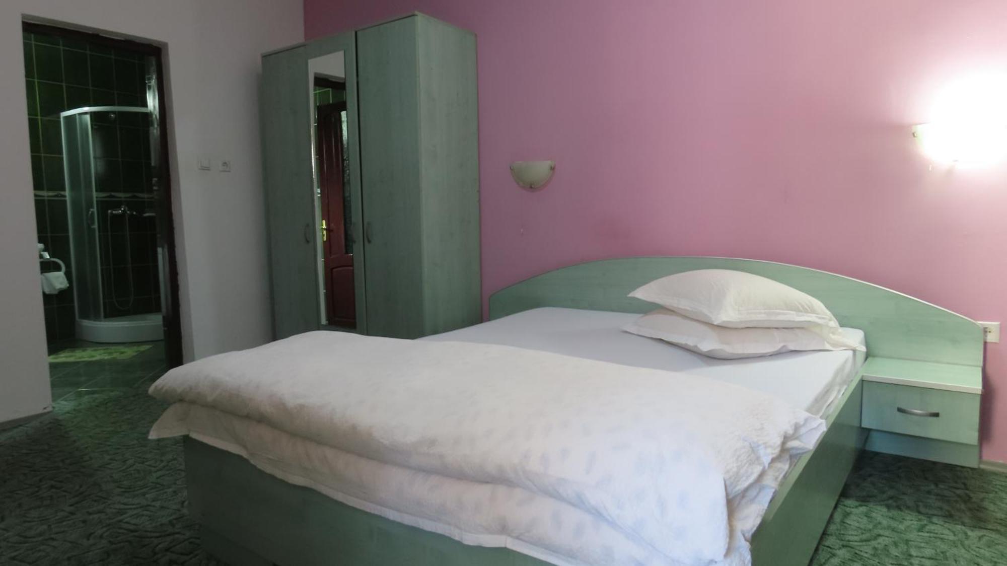 Vila Nik Buşteni Buitenkant foto