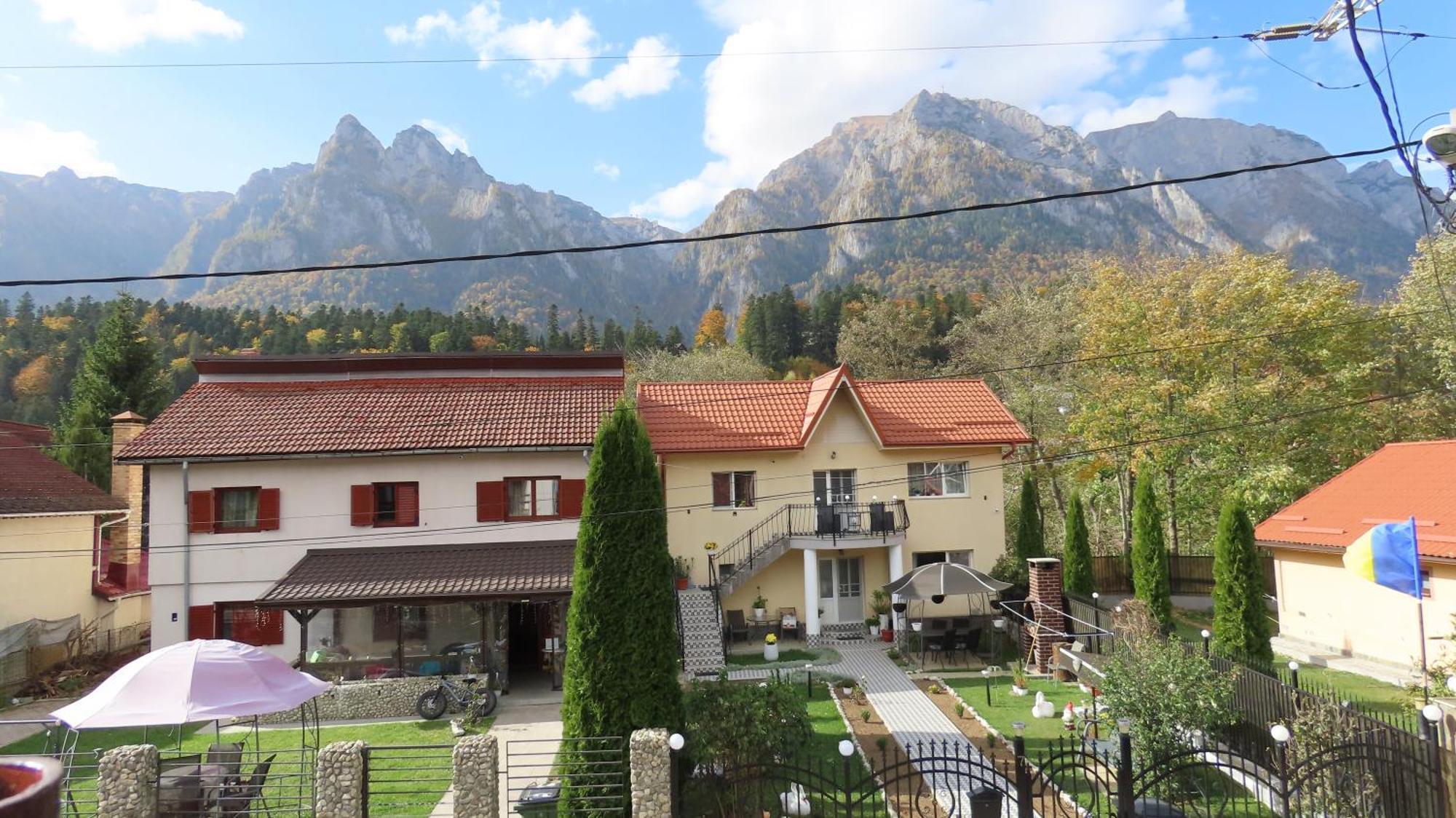 Vila Nik Buşteni Buitenkant foto